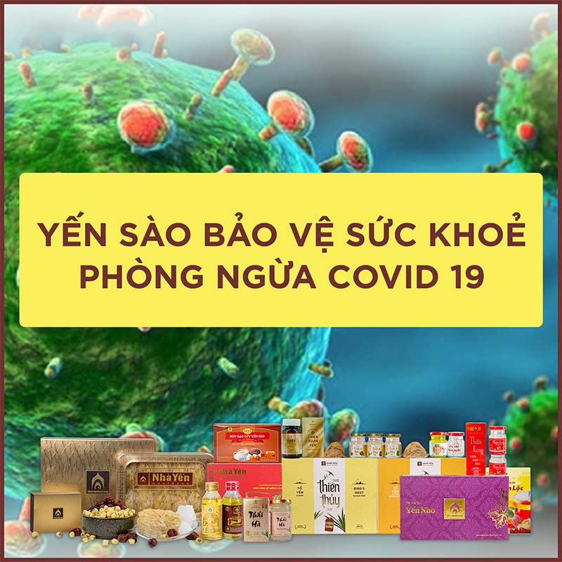 yen_sao_phong_benh